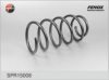 FENOX SPR15008 Coil Spring